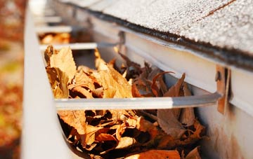 Dorking gutter cleaning companies